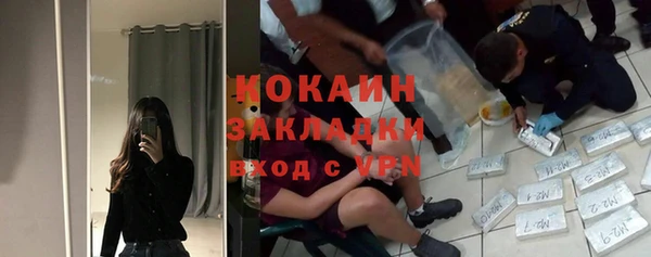 прущие грибы Инсар
