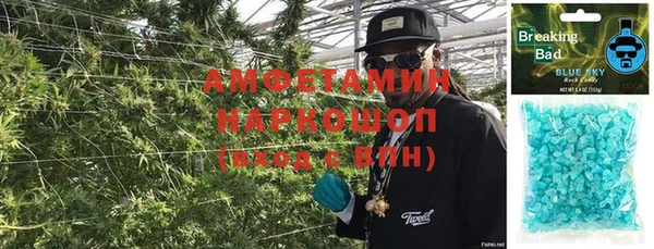 прущие грибы Инсар