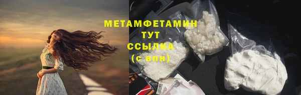 прущие грибы Инсар