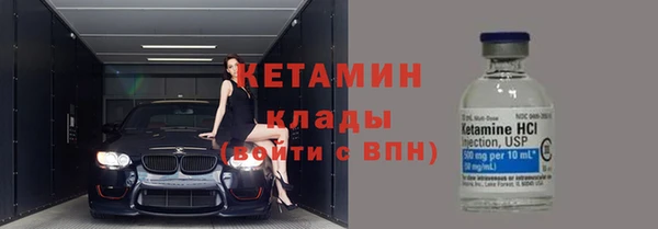 прущие грибы Инсар