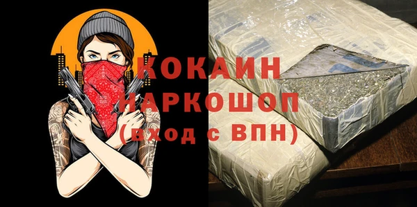 прущие грибы Инсар