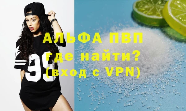 прущие грибы Инсар
