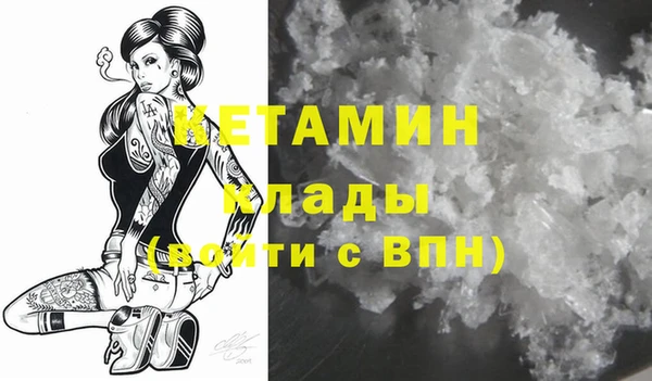 прущие грибы Инсар