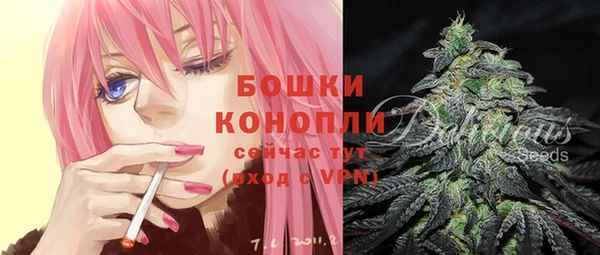 прущая мука Инта