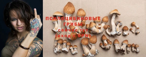 прущая мука Инта