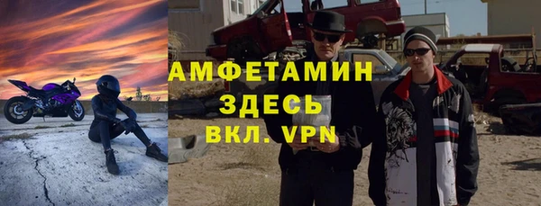 прущие грибы Инсар