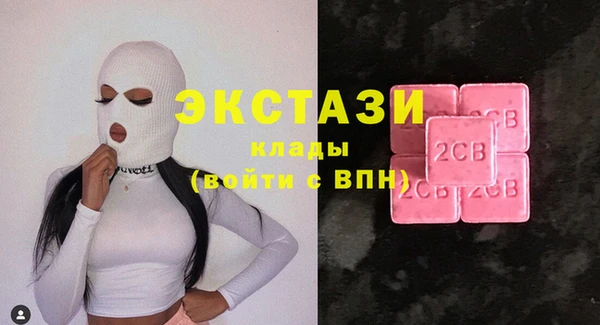 прущие грибы Инсар