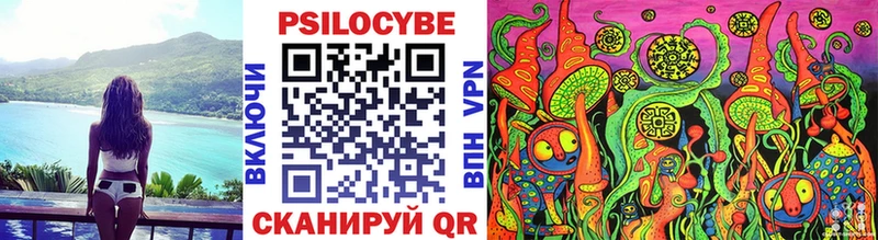 Купить закладки  Голицыно  Галлюциногенные грибы Psilocybine cubensis 